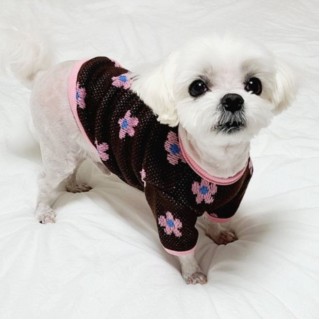 플라워 니트티 강아지옷 실내복, 브라운, 1개