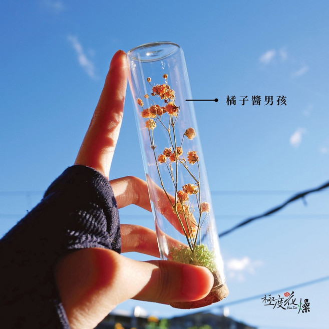 小小願望 瓶中花 滿天星 乾燥花 裝飾, 滿天星瓶中花,橘子醬男孩,一個,有pvc盒裝出貨