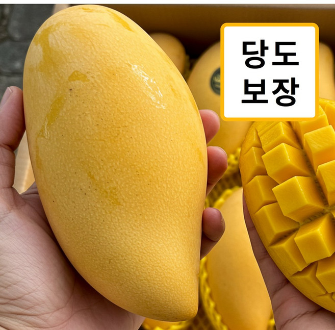 [항공직수입] 태국 백화점 납품 진짜 프리미엄 남독마이 꿀 망고, 1박스, 5kg (10-18과)