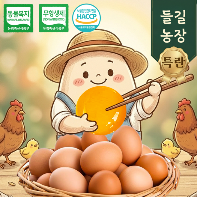 들길란 특란 유정란 무항생재 동물복지 HACCP 프리미엄 계란 난각번호2번, 1개, 40구