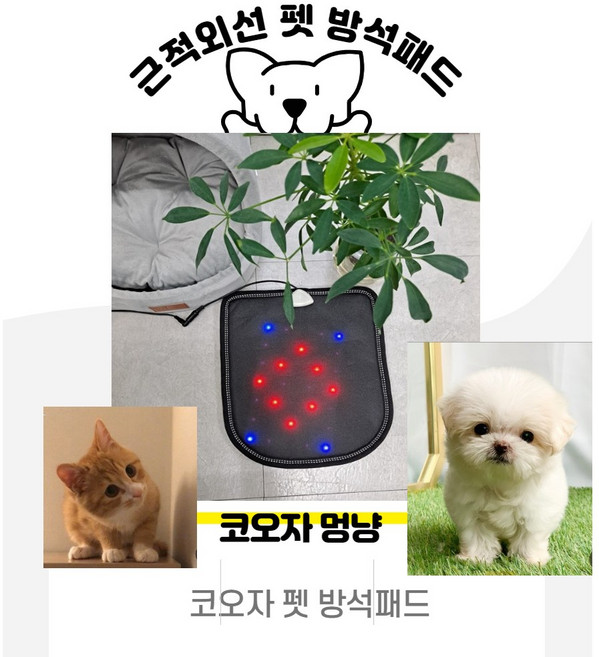 코오자 멍냥, 1개
