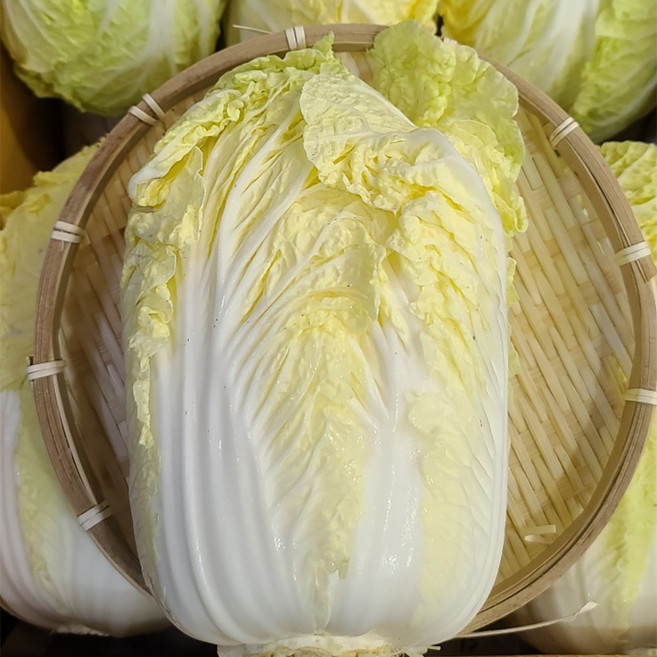 강원도 알배기배추 3포기, 2.5kg, 1세트