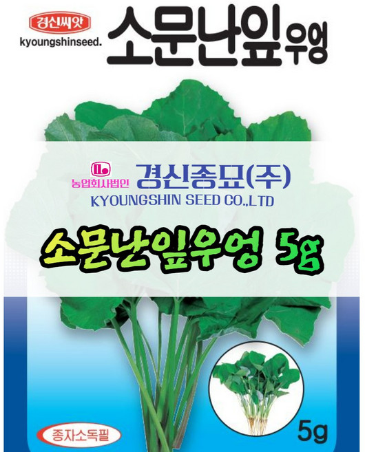 잎우엉씨앗 5g 파종용 잎우엉 종자 경신종묘 당일발송, 1개