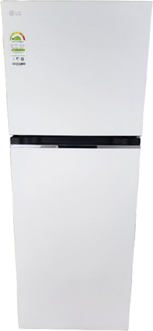 LG전자 디오스 오브제컬렉션 317L 일반냉장고 화이트 D315MHH31 1등급