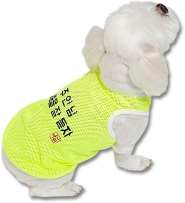 도기코디 반려동물 주인님 형광 망사 나시, 옐로우, 1개