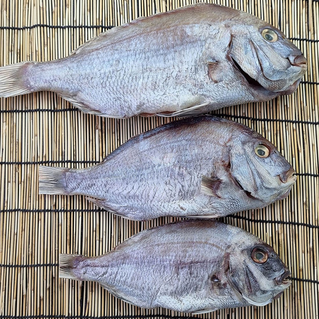 반건조 참돔 제수용 국내산 자연산 생선 반건조생선 말린 구이용 참돔중대 꽃돔 국산참돔, 반건조참돔1마리(특특대)50cm, 1개