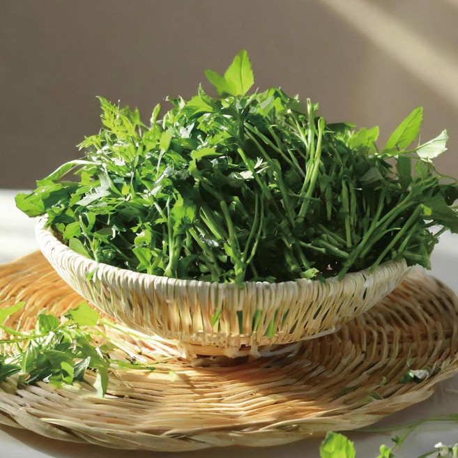 [재구매율1위] 국내산 돌미나리 향긋한 생 미나리 선별 특품 디아머스, 1개, 1kg