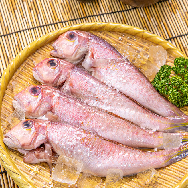 제주 저염 손질 통옥돔, 1세트, 제주 손질 옥돔 1미/150~180g 내외