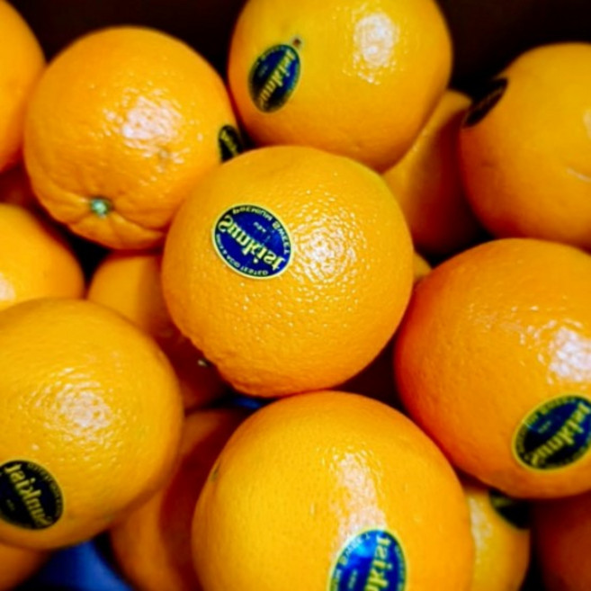 [오렌지1위] 블랙라벨 초고당도 과즙달콤 꿀 오렌지, 1박스, 고당도 S 20과 ( 2.5kg내외 )