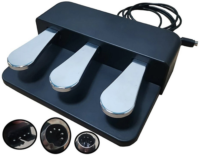 피아노 키보드는 Roland 전기 전자 오르간 신디사이저 악기 페달 댐퍼 페달을 유지, Roland FP30X