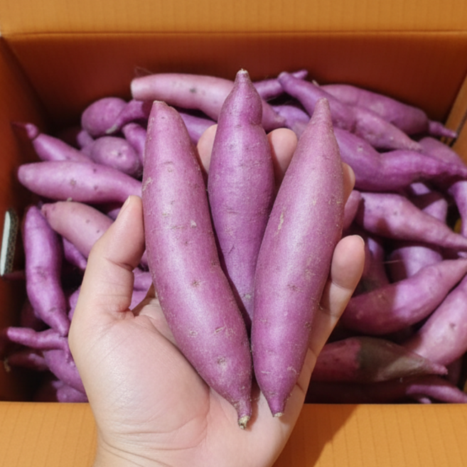 산들해 세척 해남 고구마 꿀고구마 한입, 1개, 5kg