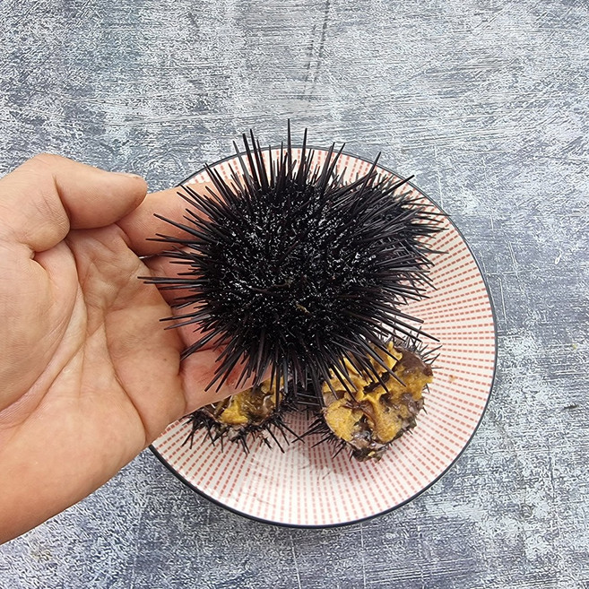 우렁각시 제철 생물 우니 보라 자연산 성게알 성게 100g 200g 500g, 02_성게알(500g)해수포함, 1개