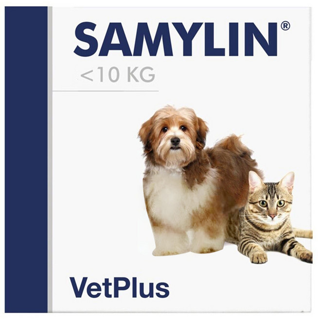 벳플러스 새밀린 강야지 고양이 겸용 간 영양제 분말형 30개입, 30회분, 심장/간, 1개