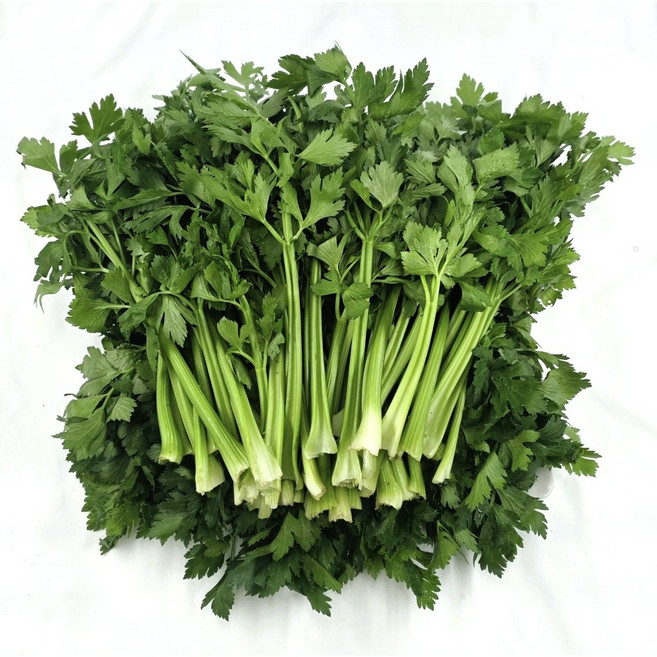 싱싱한 쌈샐러리 100g 300g 1kg, 1개, 쌈샐러리300g