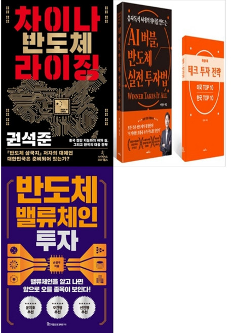 [책광장 모두 세트] 반도체 슈퍼사이클 세트: 차이나 반도체 라이징＋AI 버블 반도체 실전 투자법＋반도체 밸류체인 투자 (전3권)