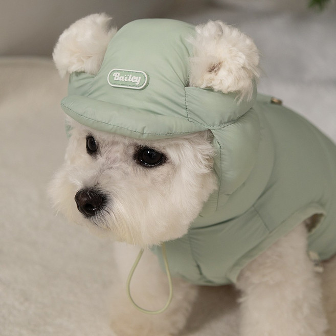 베일리펫 강아지 귀도리 애견 겨울 방한 모자 스노우캡, 1개, 미스틱민트