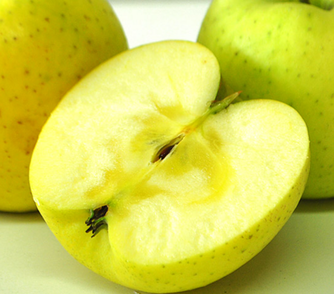 [2주한정] 고당도 아오리사과 초록사과 안동직송, 1박스, 중과 10kg