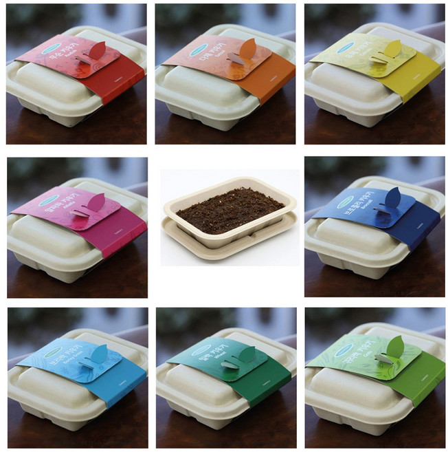 재배키트 건강새싹채소 키우기 무순 다채 유채 알파파 브로콜리 보리싹 귀리싹 밀싹