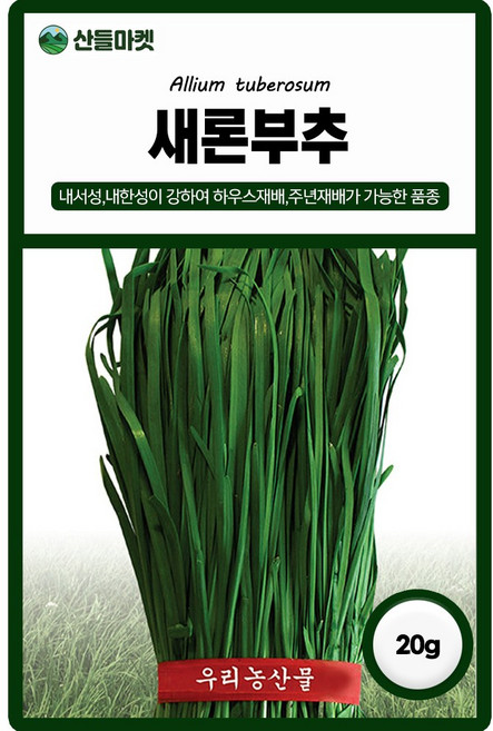 다농 새론부추 씨앗 20g 부추씨 종자, 2개