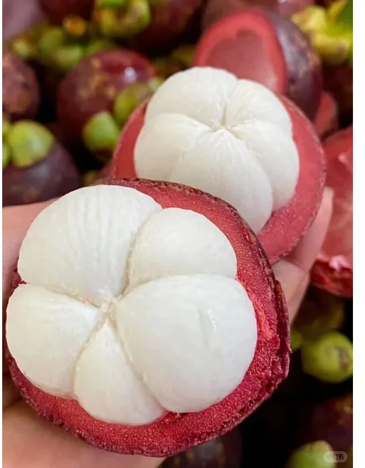 [신선급속냉동] 태국 냉동과일 망고스틴, 1개, 급속 냉동 4kg