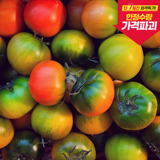 [100박스한정수량]초특가 단짠단짠 당일수확 산지직송 대저토마토, 1박스, 대저짭짤이토마토 특품(2s~3s)  2.5kg