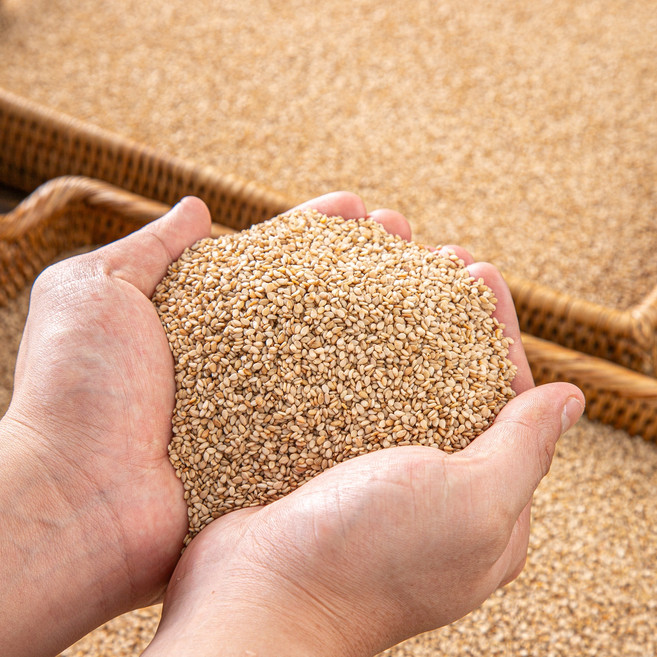 고산지대에서 자란 고소한 햇 생참깨, 1개, 3kg