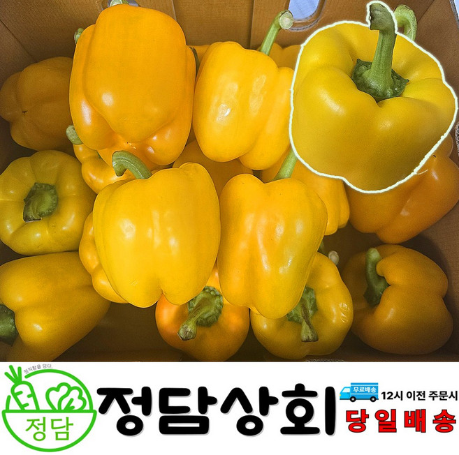 [ 정담상회 ]국내산 노랑 파프리카 못난이 파프리카 1kg 2kg 5kg 내외(사이즈 랜덤), 1박스