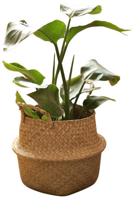 코드86 인테리어 라탄바구니 화분커버 왕골 해초 바구니 7size, 1개