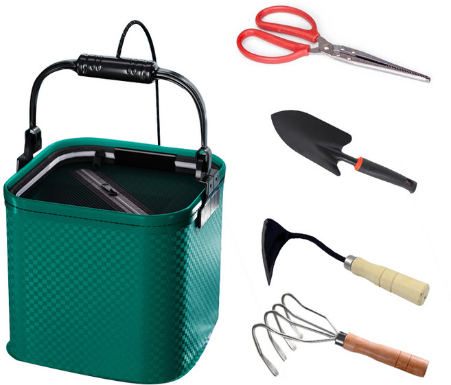 스피세프 갯벌체험 맛조개체험 해루질 장비, 그린