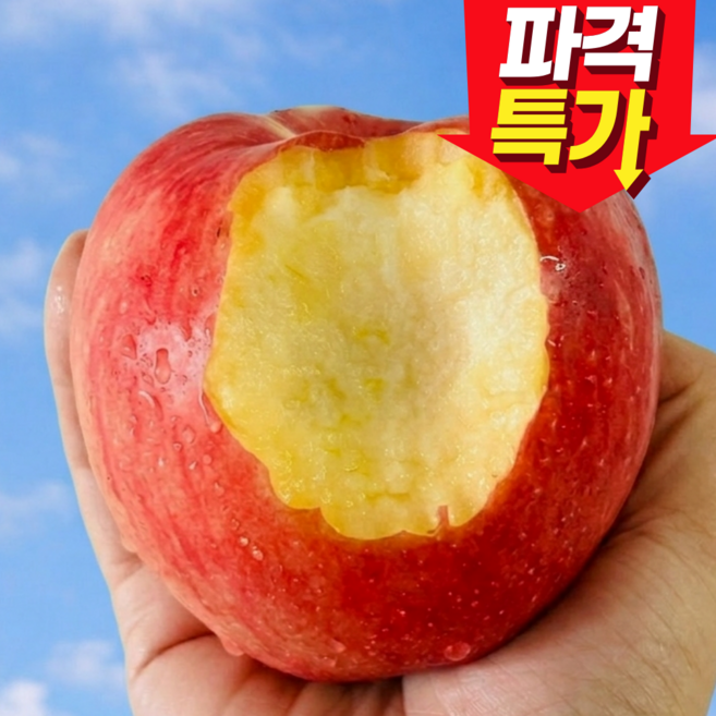[50박스한정] 특가판매 꿀당도 최고brix 청송사과, 1개, 10kg