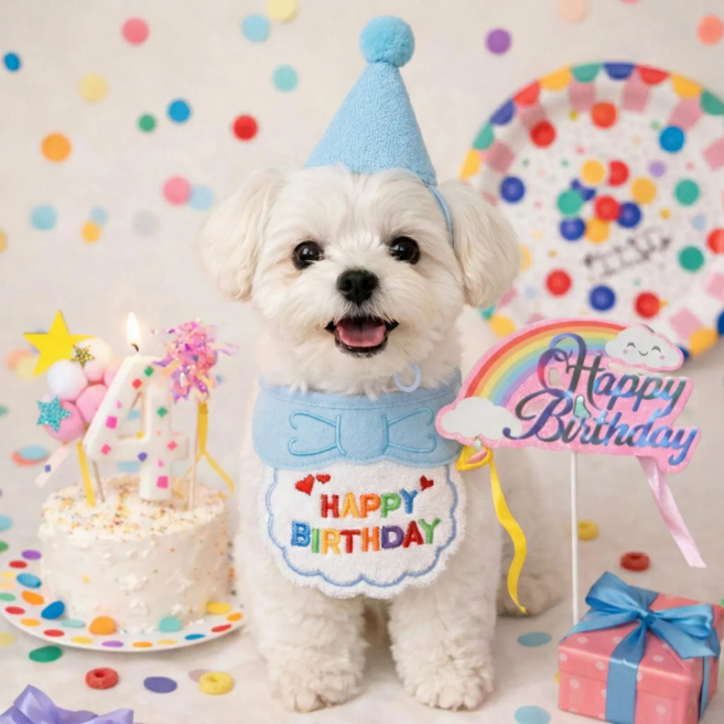 멍담 강아지 생일파티 용품 5종 세트 숫자초, 1세트, 블루