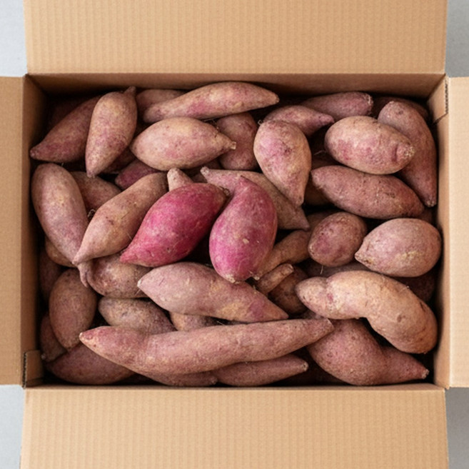 레드이츠 해남 세척 한입 고구마 꿀고구마, 1박스, 10kg