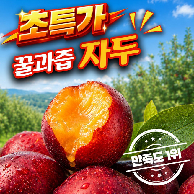 [산지직송] 김천 꿀과즙 고당도 제철 후무사자두, 1박스, 1kg