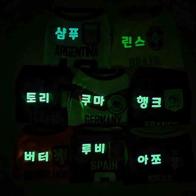 볼독 [이름각인가능]강아지 고양이 나시 티셔츠 중형견 옷 대형견 옷 웰시코기 옷 티셔츠, 1개, 프랑스(야광각인)