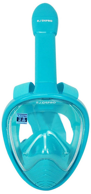 나이스프로 아동용 풀페이스 스노쿨링 마스크, 민트