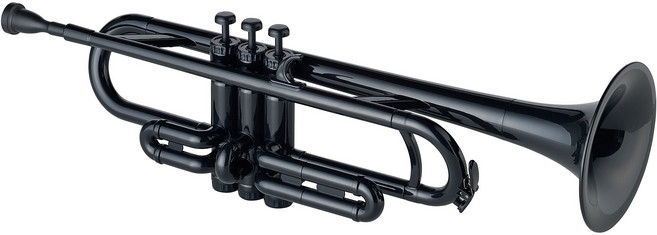 ZO 플라스틱 트럼펫 Bb 폼케이스, 블랙, 1개