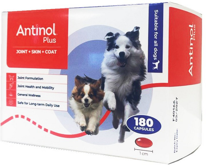 안티놀 플러스 180캡슐 EAB-277 강아지관절약, 1개, 캡슐타입, 뼈/관절강화