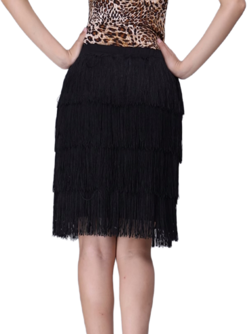 라틴 라인 댄스복 라틴 댄스 스커트연습 의류 여성 성인 스커트 술 스커트 하의 경쟁 댄스 공연 의류, L 블랙 4레이어 플랫 스커트, 블랙 4레이어 플랫 스커트