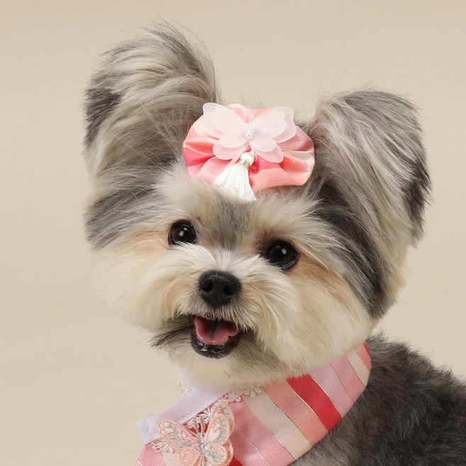 강아지옷 색동 한복케이프 난나비 연분홍, 연무지개