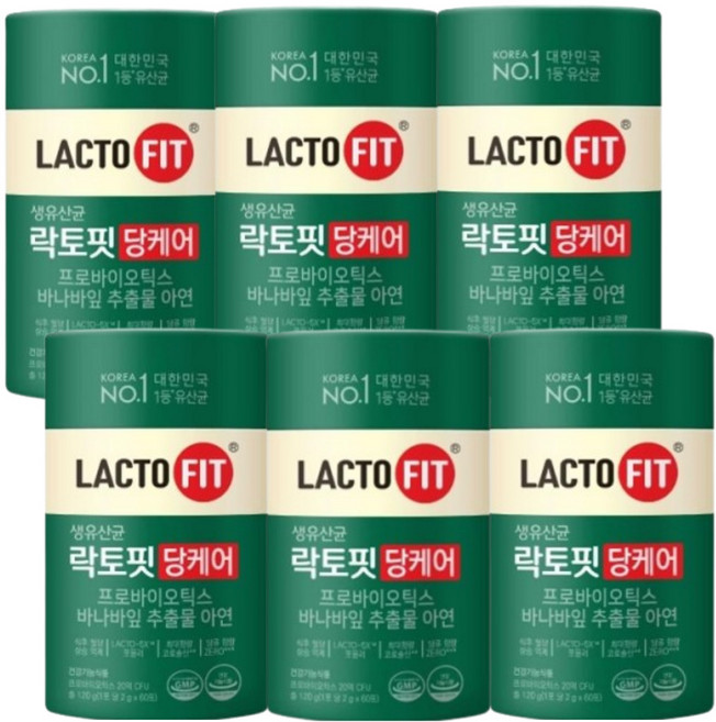 종근당건강 락토핏 당케어 PBS유산균 12개월분, 120g, 6개