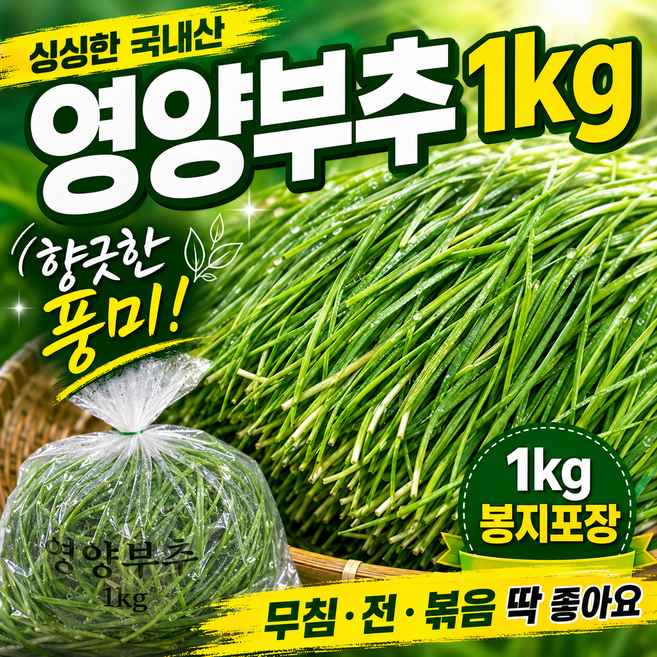 당일경매 국내산 영양부추 신선한 영양부추 경매후바로발송 조리용 김치용 가정용 채소, 1개, 1kg