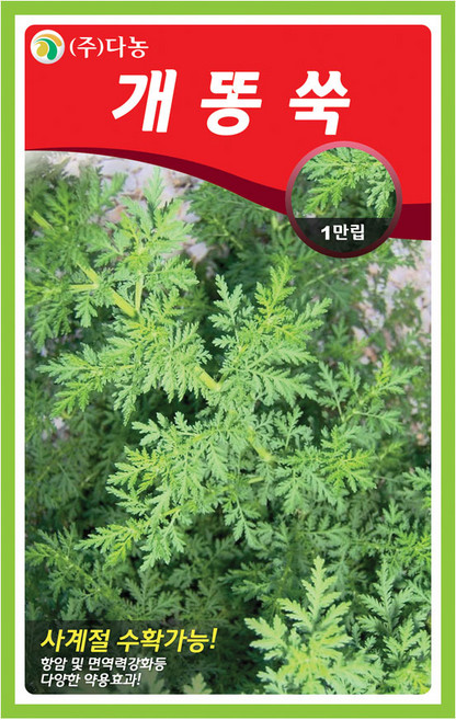 다농 개똥쑥 씨앗 10000립, 1개