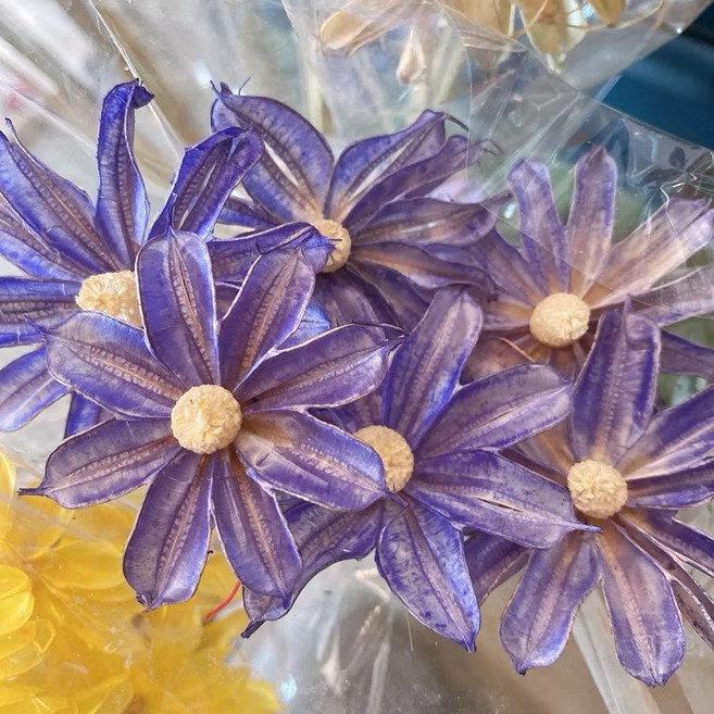 乾燥花束 居家裝飾 拍照道具, 紫/小雛菊/10支
