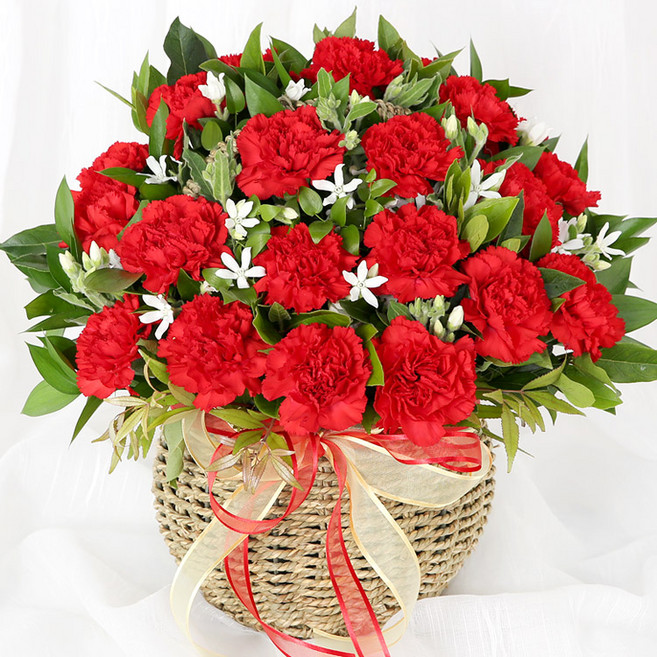 (오늘도착) 어버이날 카네이션 꽃바구니 레드카네이션 생화 부모님선물 어버이날선물 카네이션꽃바구니 효도선물 당일꽃배달 [ST-A1943]