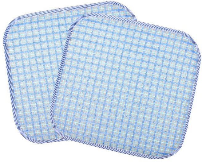 리드홈 크린쿨 쿨썸 여름 통풍방석 2p, 블루