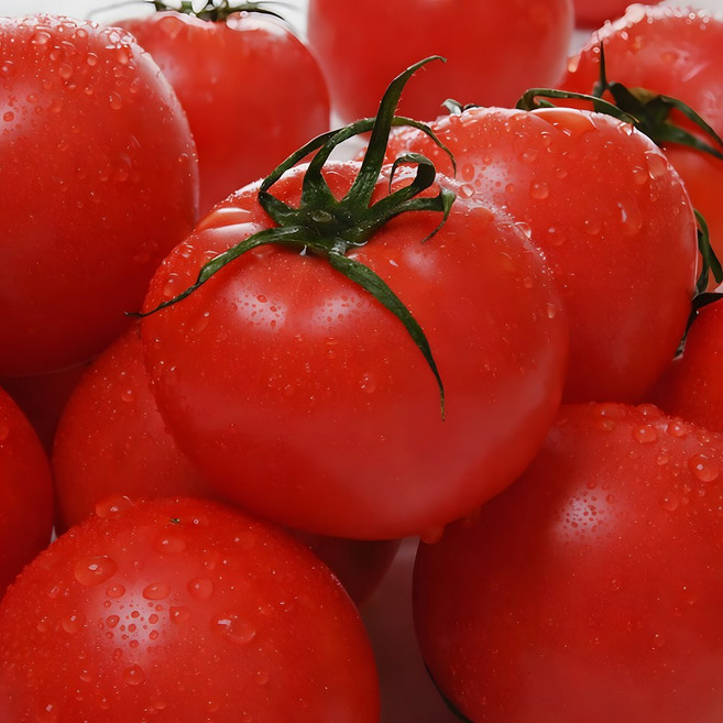 [하루딱100명만] 한정초특가 과즙폭발 맛있는 완숙토마토, 1박스, 5kg