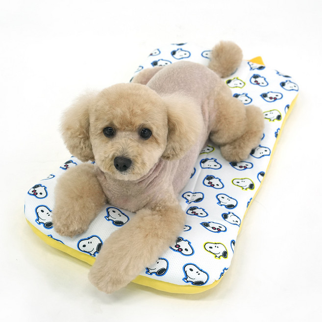 패리스독 피너츠 버블 아이스 쿨 멀티쿠션 (아이스팩 포함) 강아지 유모차 개모차 겸용, 옐로우, 옐로우, 1개