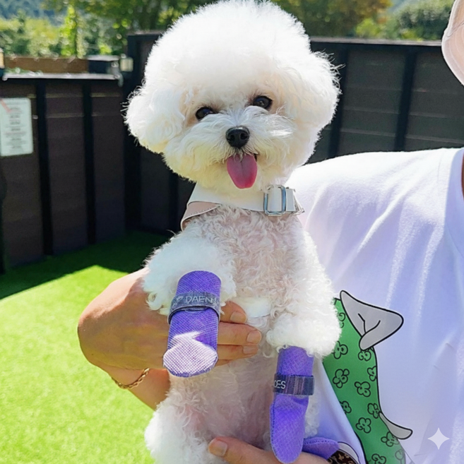 미르팩토리 댕댕슈즈 일회용 강아지신발 112매, 옐로우, 1세트