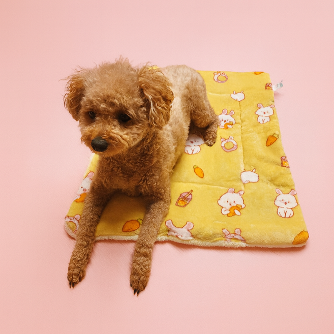 [푸들나무] 푸들나무 꿀잠이불, 1개, 옐로우토끼