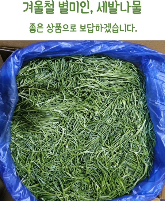 [임가네농산] 세발나물 무안 세발나물 갯나물 별나물 국내산 무안 세발나물, 1개, 4kg